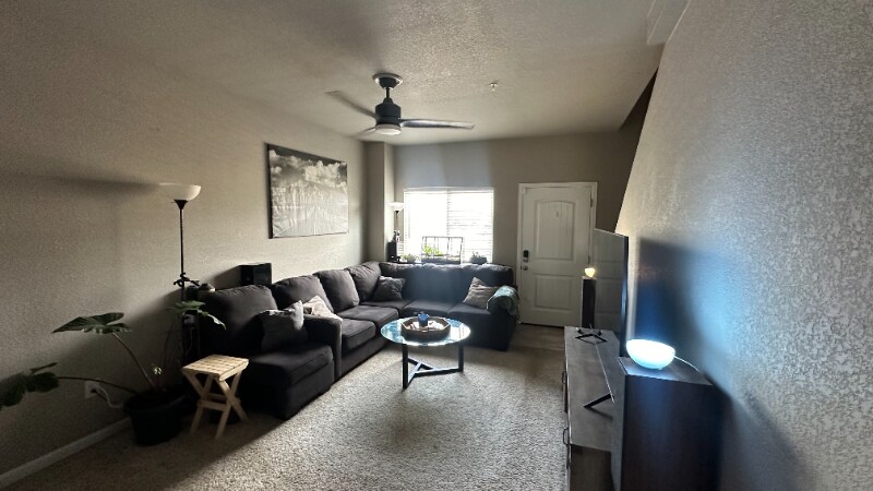 Building Photo - 4276 Little Rock Vw