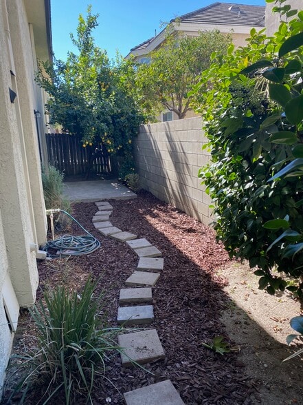 Private Yard and Patio - 419 California St