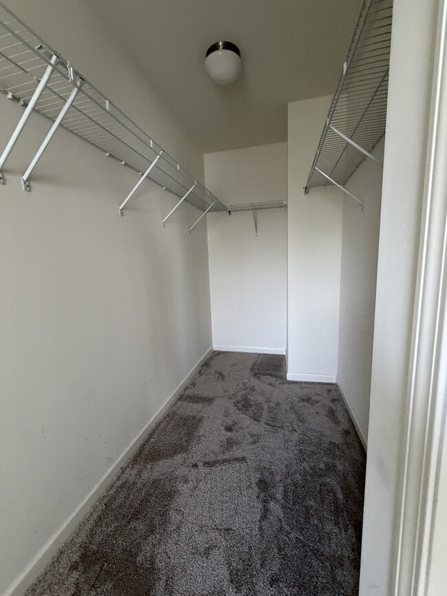 Building Photo - 3549 Saddlebrook Dr