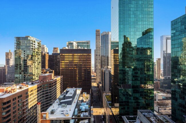 Building Photo - 535 N Michigan Ave