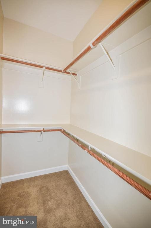 Building Photo - 6242 Levi Ct