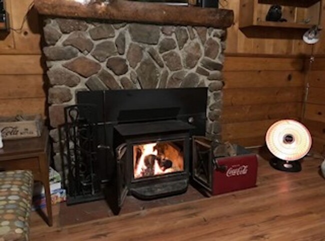 Building Photo - Cozy Cabin in Idyllwild