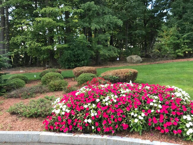 Building Photo - 80 Sentinel Court