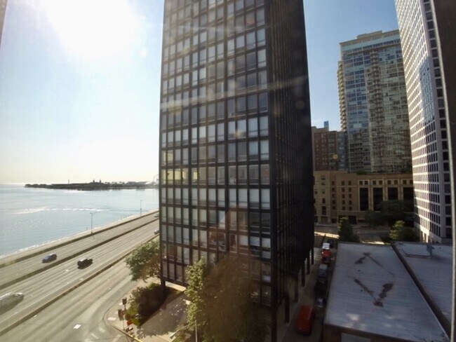 Building Photo - 900 N Lake Shore Dr