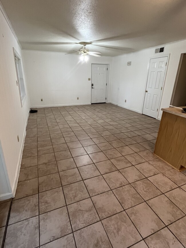 Looking back toward Front Door - 519 E Churchwell Ave