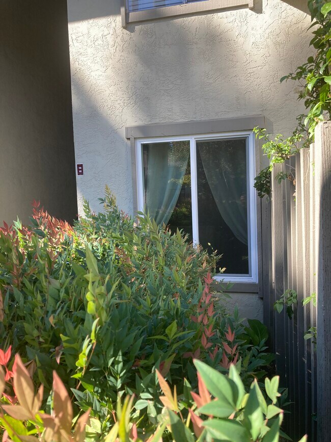Lower unit new windows - 1241 Homestead Ave
