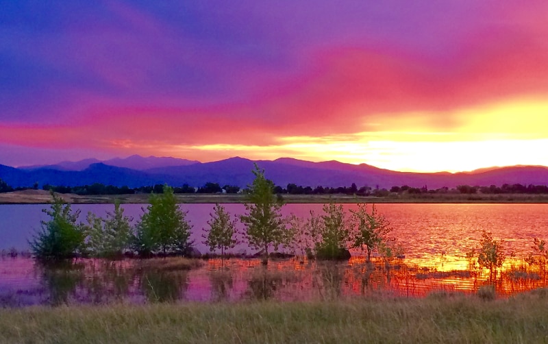 Building Photo - 2059 Grays Peak Dr