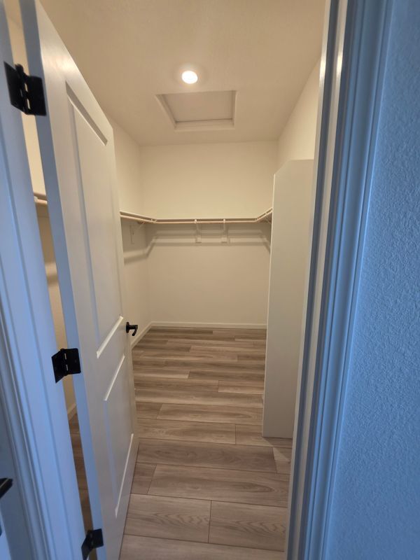 Building Photo - 2508 Oleander Dr