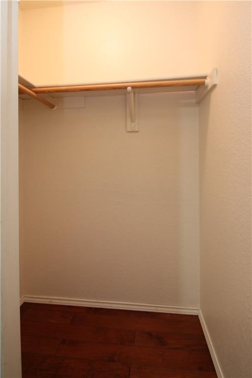 Building Photo - 3205 Blazing Star Trail