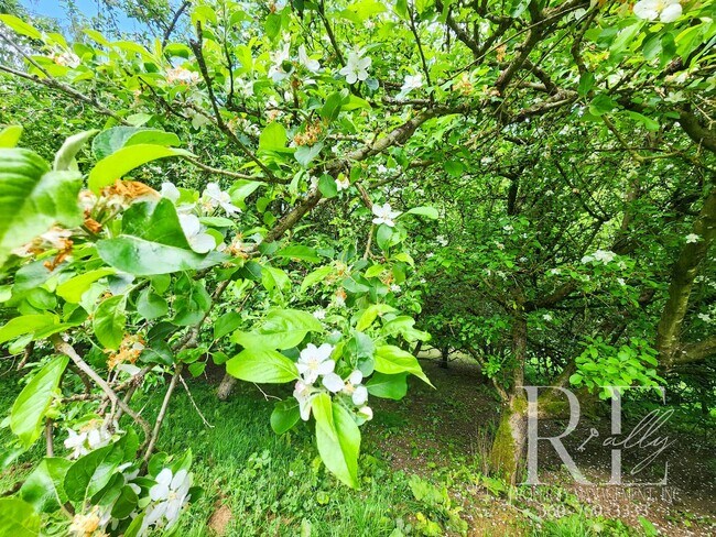 Building Photo - Forest-Edged Retreat with Pasture Access –...