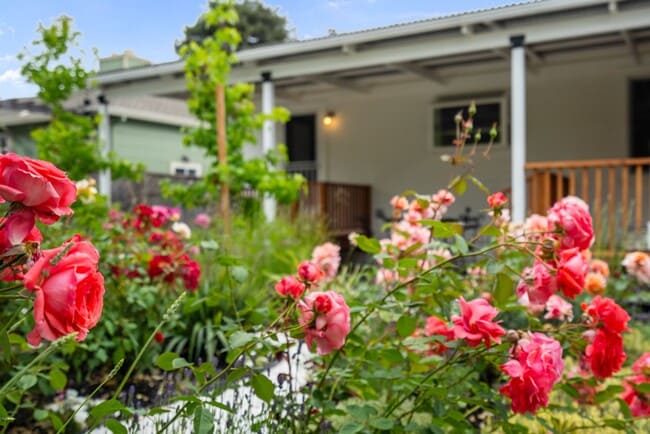 Building Photo - Bret Harte Gem Offering Comfort, Style & Convenience!  EV Charging!  Decks!  FOUNDATION