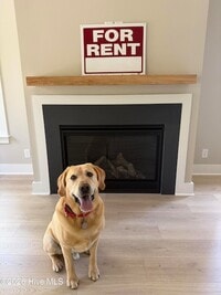 Building Photo - 1314 Carlyle Ln