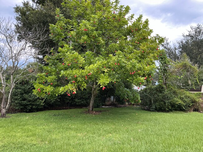 Building Photo - Single-Family Home | 3 Bedrooms | 2 Bathrooms