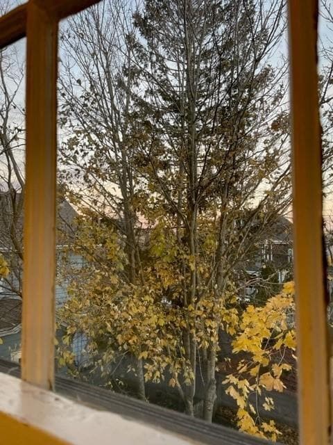 Building Photo - 5 Record St