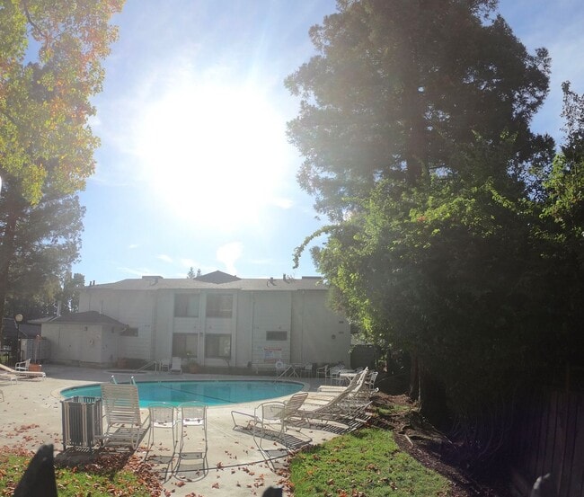 Building Photo - Centrally located Cambrian Park Condo