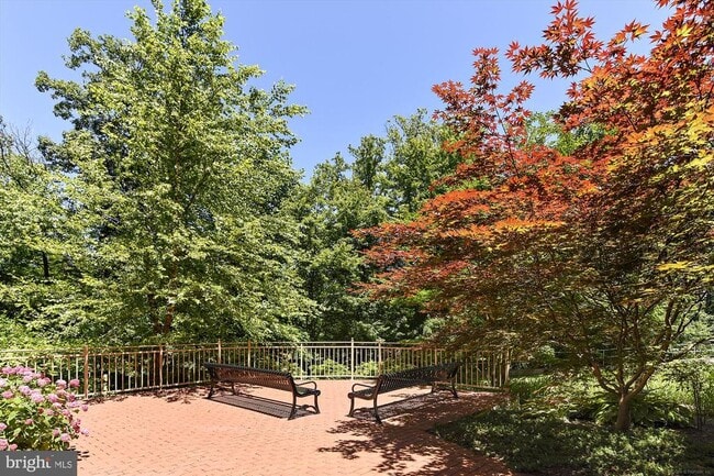 Building Photo - 4480 Market Commons Dr