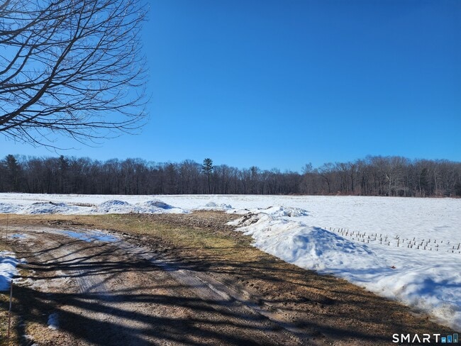 Building Photo - 216 Angel Rd