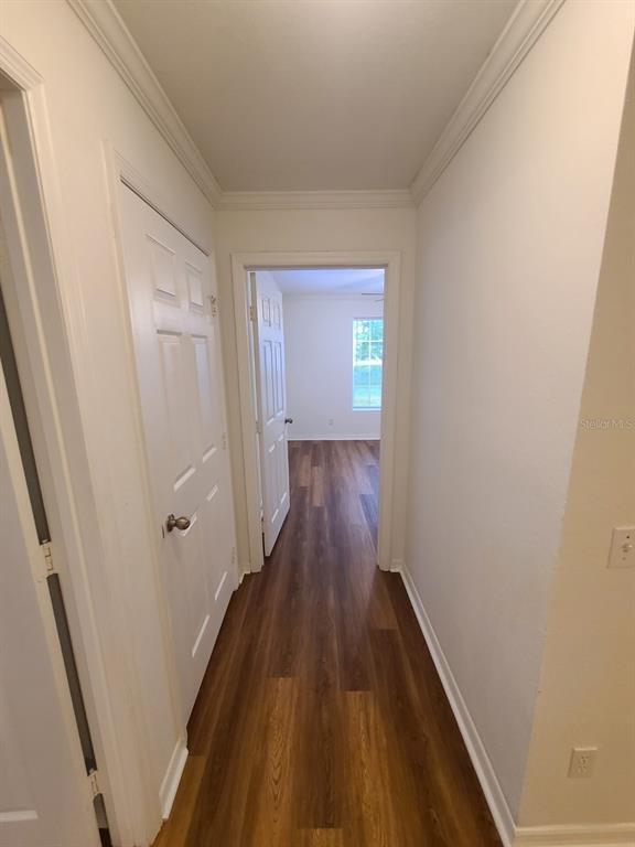 Building Photo - 36232 Misty Oak Dr