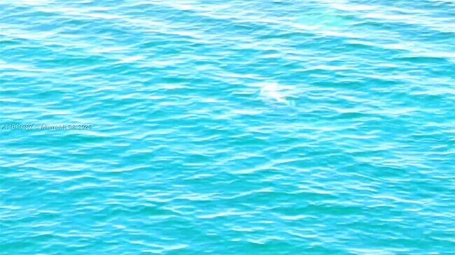 Building Photo - 1625 Kennedy Cswy