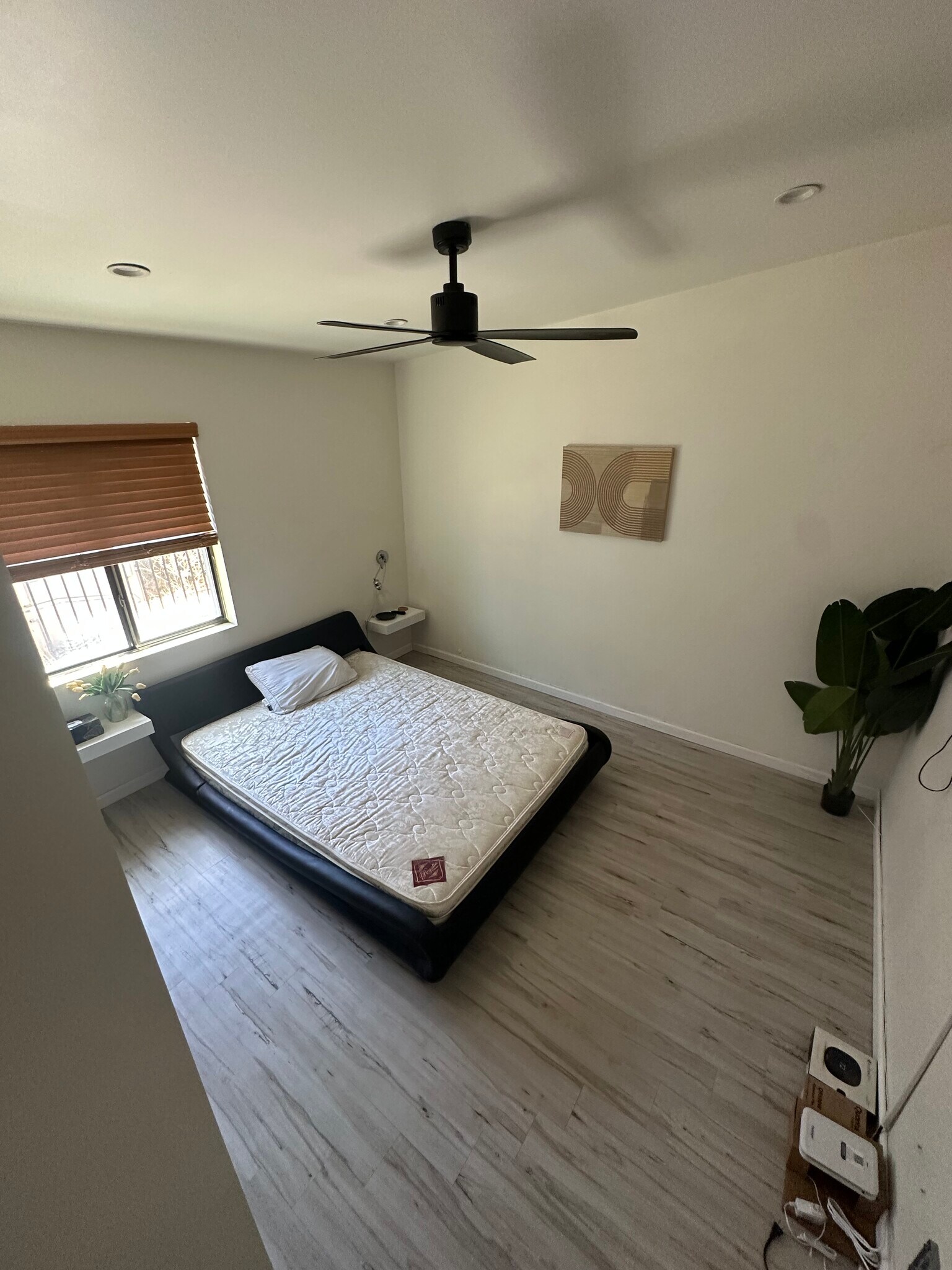 Building Photo - 2210 Santa Clara Dr