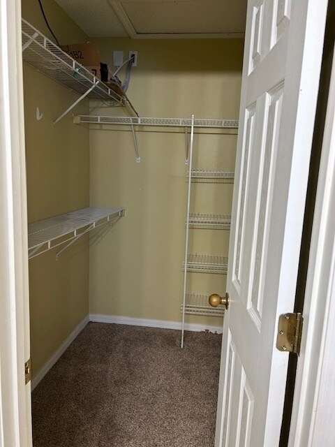 Master Closet - 14121 Econ Woods Ln