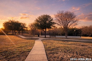 Building Photo - 10354 Oakwood Crest