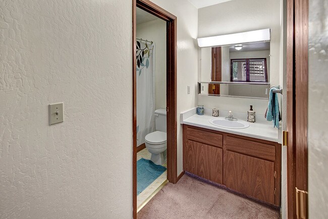 Driftwood Apartments - Bathroom - Driftwood