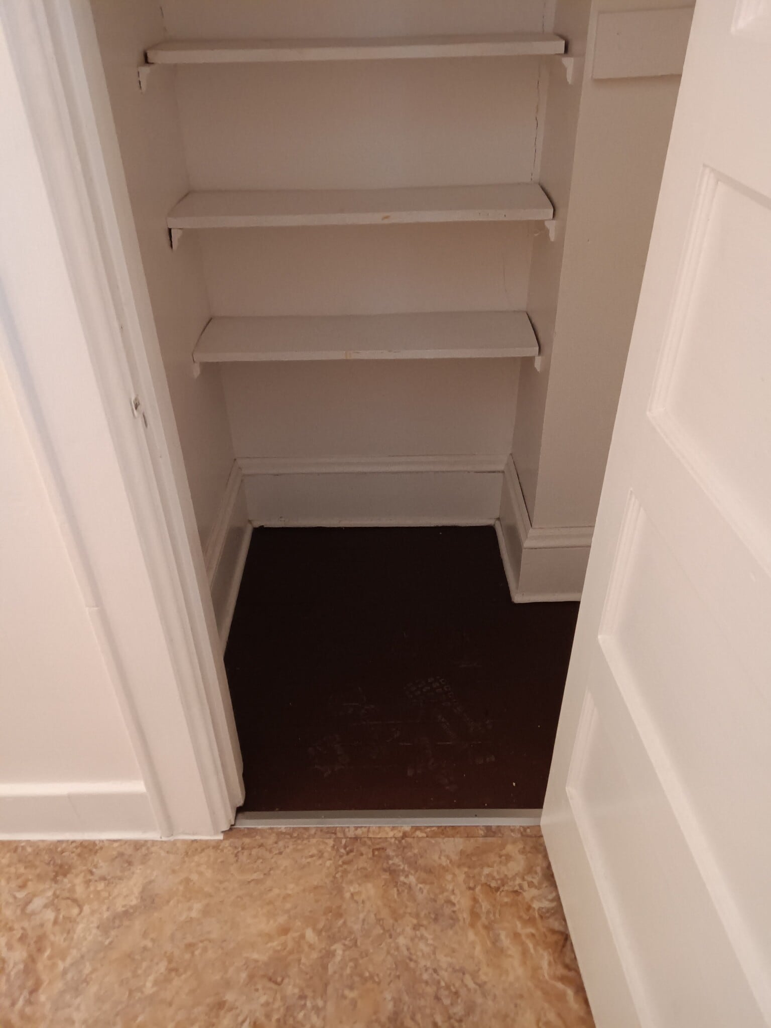 Building Photo - 1552 Lewis St