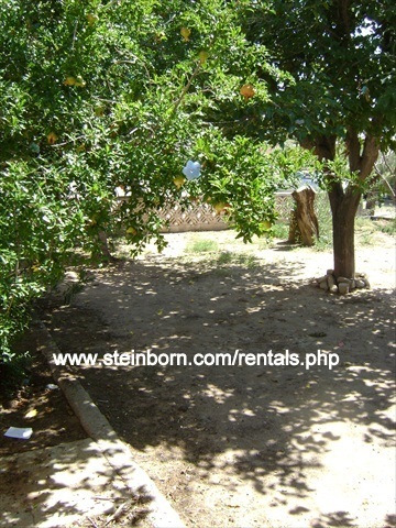 Building Photo - Nice Home in Historic Downtown with Shared...