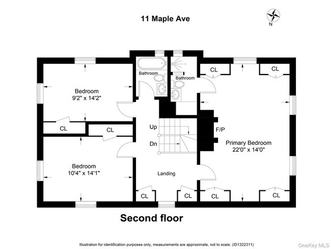 Building Photo - 11 Maple Ave