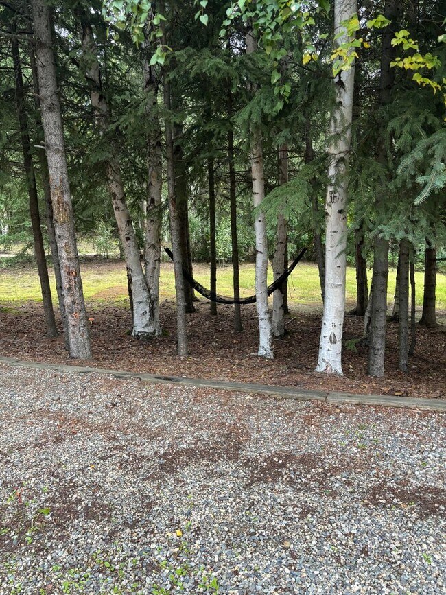 Building Photo - Available NOW Home in the Hills 3 Bed/1.25...