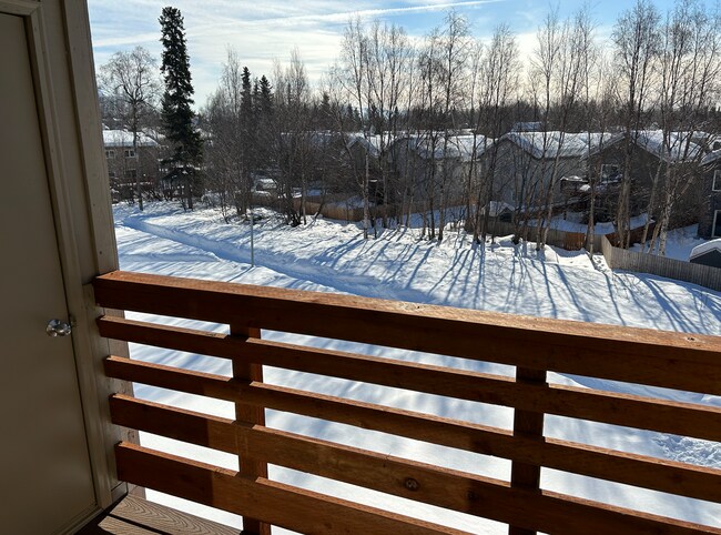 Deck with Door to Storage - 9725 Independence Dr