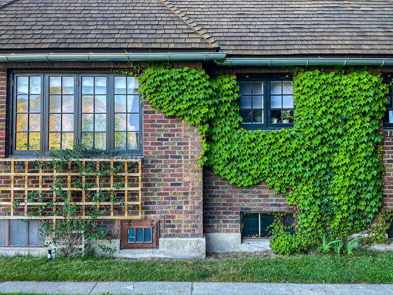 Mature vines and custom trellises around property - 483 Boulevard