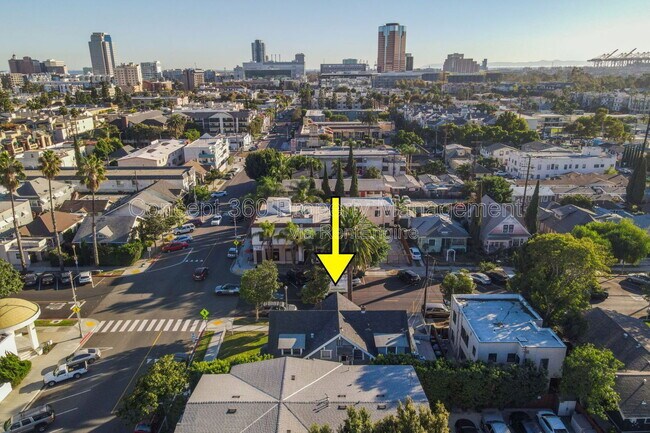 Building Photo - 803 Magnolia Ave