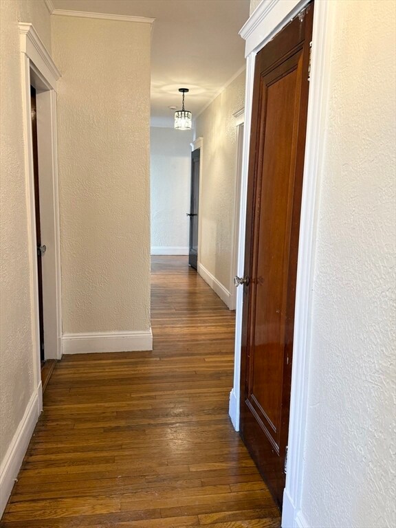 Building Photo - 123 Glendower Rd