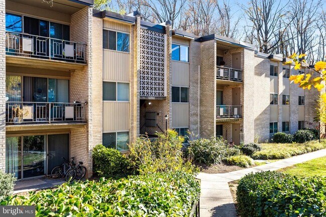 Building Photo - 12215 Braxfield Ct