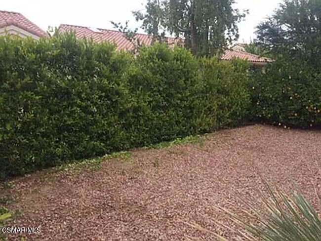 Building Photo - 78282 Yucca Blossom Dr