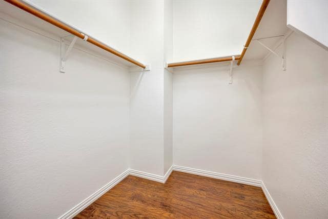 Building Photo - 13913 Gallant Fox Ct