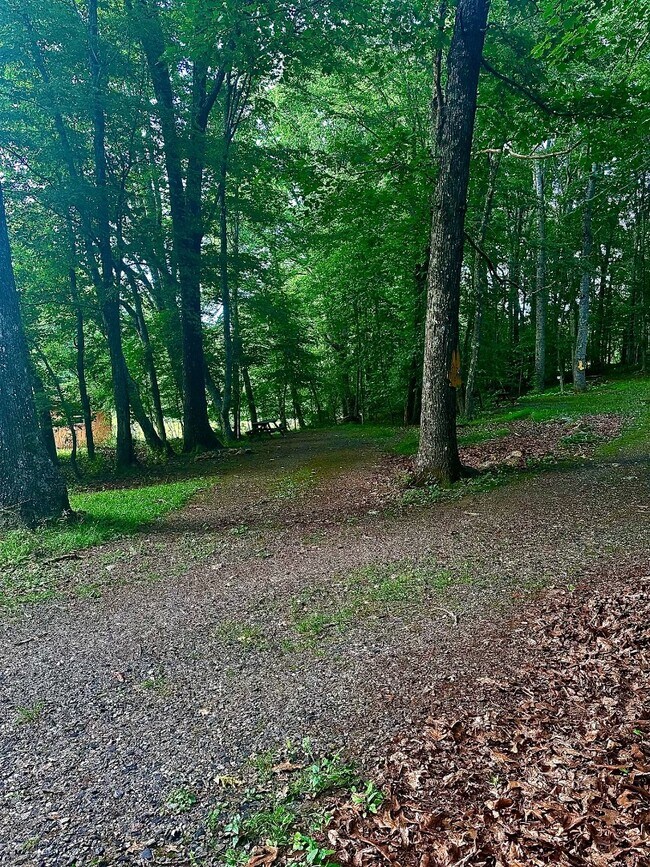 Building Photo - 2015 Union School Rd SW