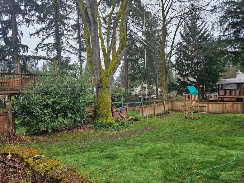 Building Photo - 12341 36th Ave NE