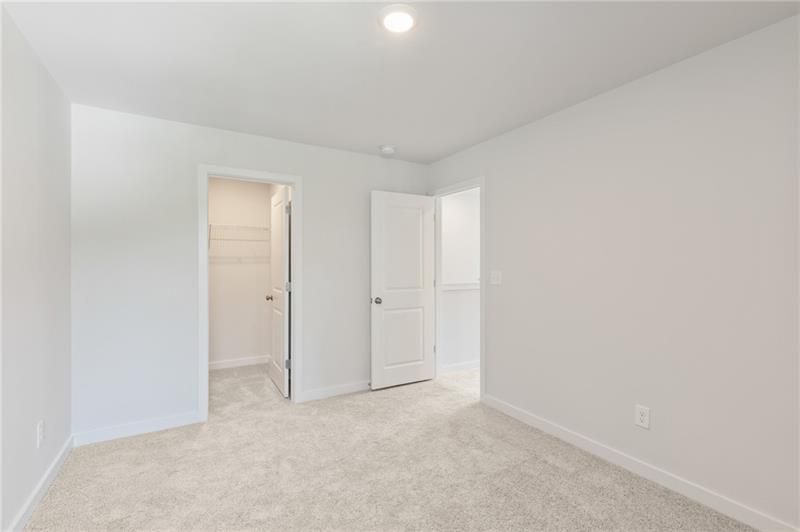 Building Photo - 2837 Bullfrog Ln