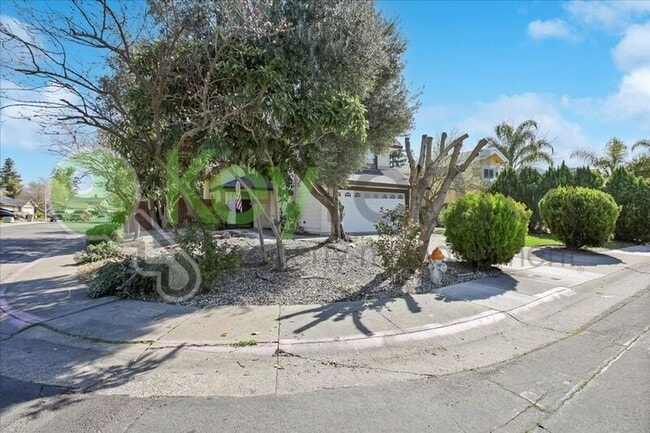 Building Photo - 3462 Bridgeford Dr