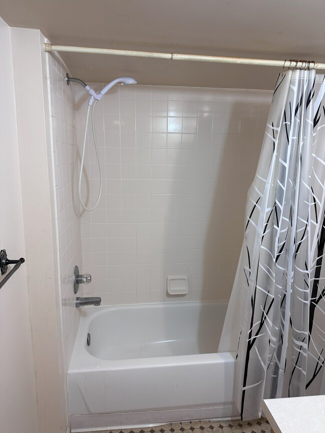 Basement full bath - 2967 W Tanforan Dr