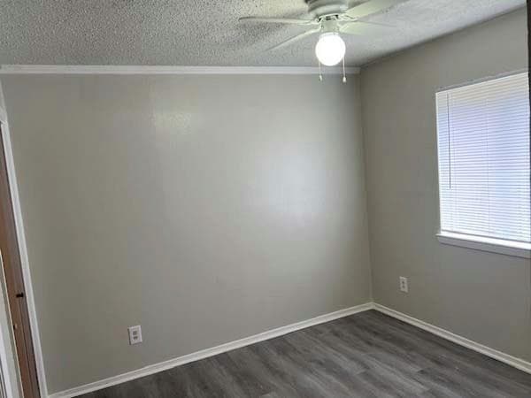 Building Photo - 806 Phillips Dr