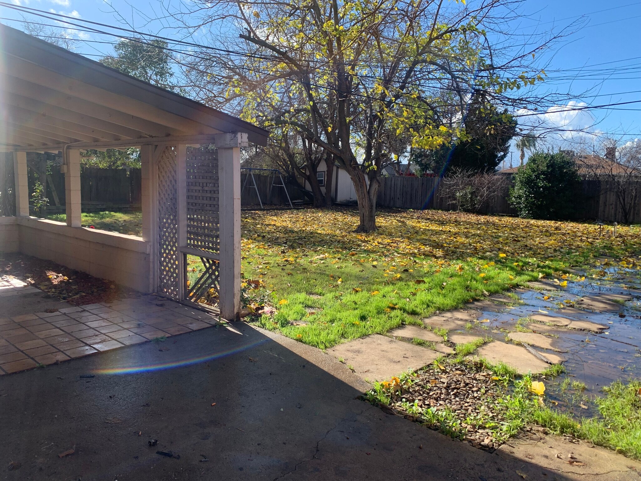 Backyard - 7110 Celia Ave