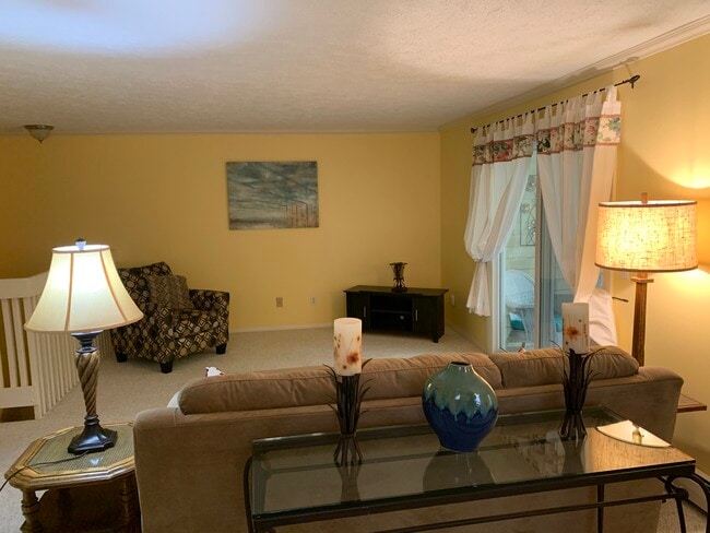 living - 4244 Mitchell Creek Dr