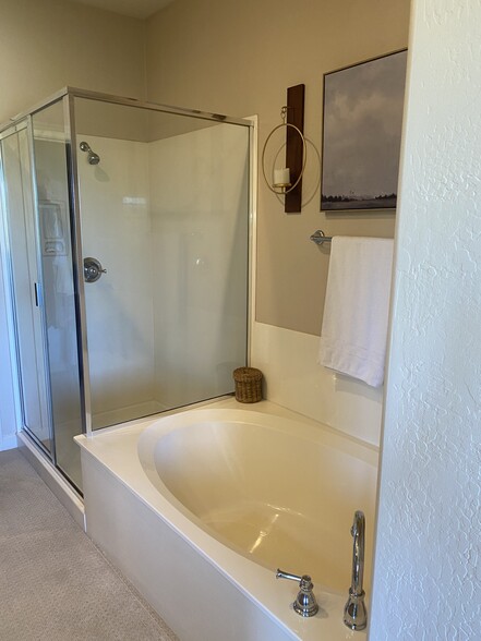 Master Bath - 20750 N 87th St