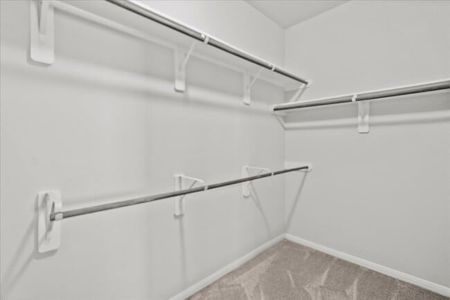 Building Photo - 503 Thunder Cloud Dr