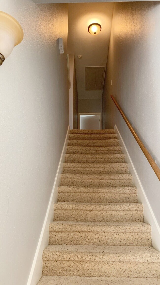 Building Photo - 538 Wilcrest Dr