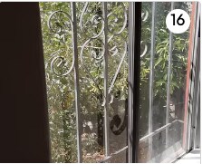 Living Room Window - 3214 Johnston St